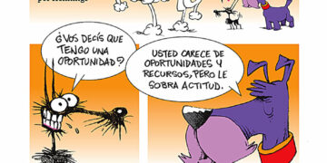 Tutuca 14.03.25