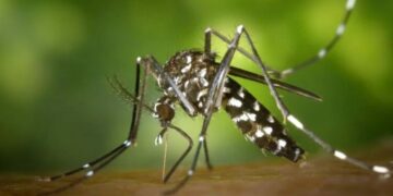 Córdoba se prepara ante un aumento de casos de dengue