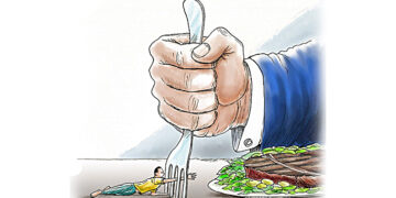 Simbiosis: mutualismo, comensalismo y parasitismo