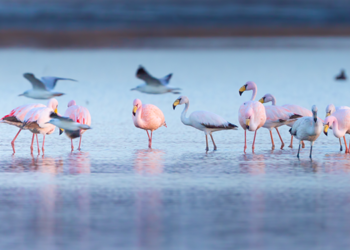 El Gobierno desreguló el turismo en los parques nacionales 