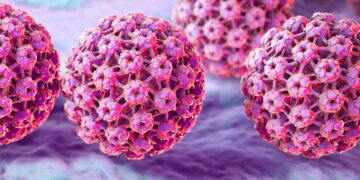 Virus del Papiloma Humano: el importante rol de la prevención y la concientización