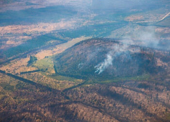 Declaran emergencia agropecuaria en Bariloche por incendios forestales