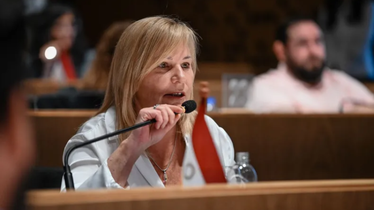 Elisa Caffaratti, presidenta del bloque radical en el Concejo Deliberante de la ciudad de Córdoba. Foto: Letra P.