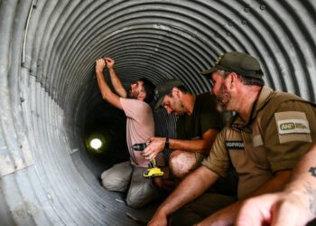 Ambiente monitorea el uso de pasafauna en la autovía de Punilla