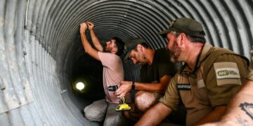 Ambiente monitorea el uso de pasafauna en la autovía de Punilla