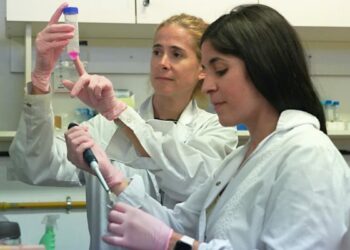 «Covid prolongado», el virus que podría llegar a distintos tejidos del cuerpo mediante la sangre