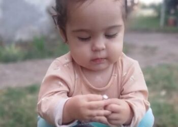 Analizarán el ADN de restos biológicos hallados para determinar si son de Delfina Hecker