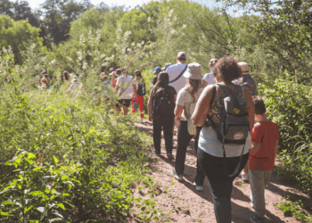 El 44% de los argentinos adultos no tiene contacto frecuente con la naturaleza