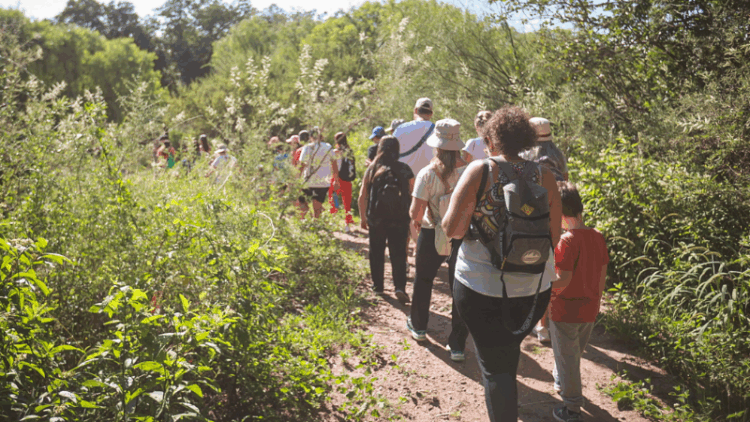 El 44% de los argentinos adultos no tiene contacto frecuente con la naturaleza