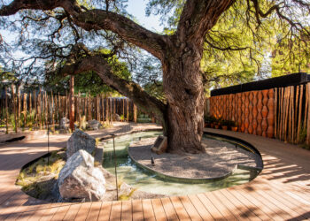 Casa FOA: los espacios más destacados