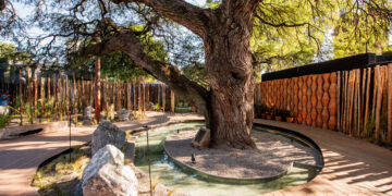 Casa FOA: los espacios más destacados