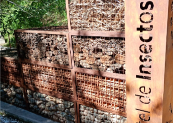 Un vecino que vuelve a un lugar de su infancia: el ex Zoo, ahora Parque de la Biodiversidad