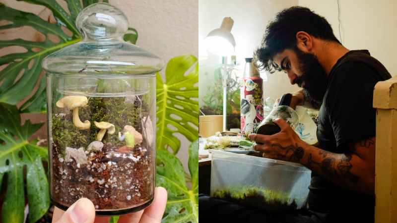 Mini mundos verdes: Los terrarios como refugio otoñal