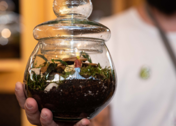 Mini mundos verdes: Los terrarios como refugio otoñal