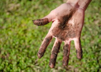 Monte y resistencia en “La última semilla de Tala”