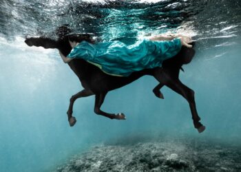 El Palacio Dionisi estrena un nuevo bloque