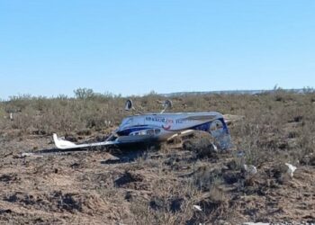 Río Negro: cayó una avioneta y murió una persona