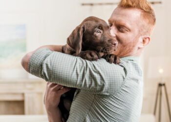 Royal Canin lanza la primera licencia por adopción de mascotas en empresas argentinas