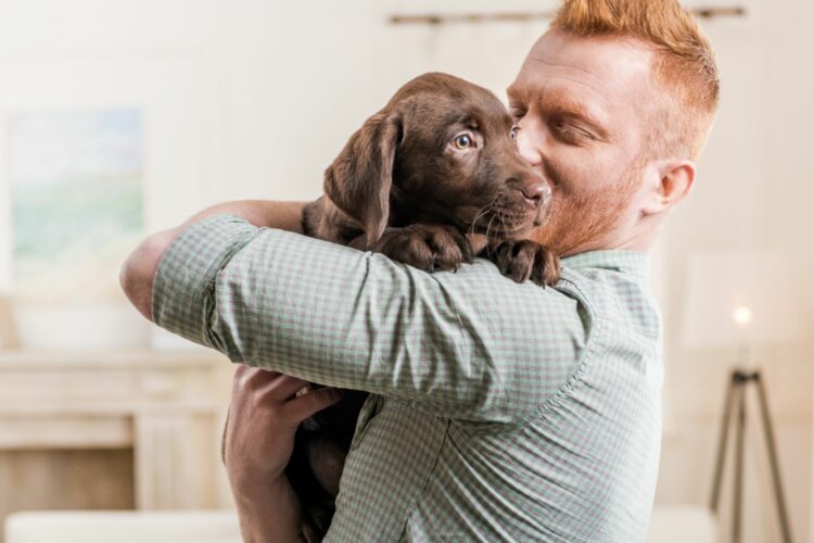Royal Canin lanza la primera licencia por adopción de mascotas en empresas argentinas