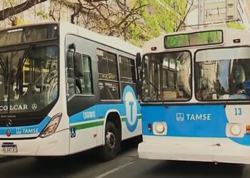 Tras las fallas eléctricas, los trolebuses de las líneas A y C retomaron el servicio