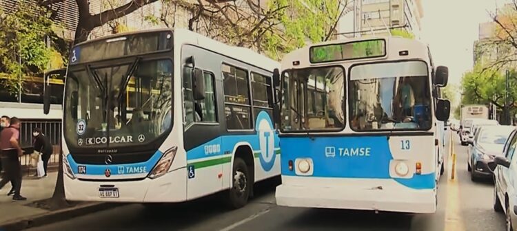 Colectivo y trolebús de Tamse.