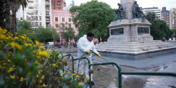 Intensifican el operativo de limpieza en la Costanera, siete basurales, el área central y los puentes