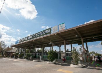 Operativo integral de salud y documentación en el Mercado de Abasto