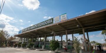 Operativo integral de salud y documentación en el Mercado de Abasto