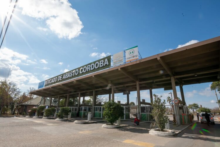 Operativo integral de salud y documentación en el Mercado de Abasto