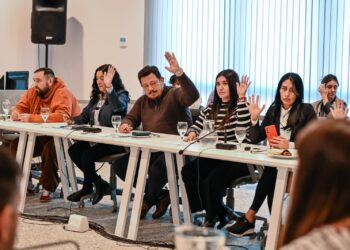 Perros y gatos: la Municipalidad recomienda la castración de machos