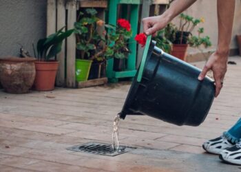 Instan a mantener los cuidados de la población contra el dengue