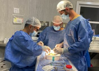 Por primera vez se realizó un trasplante renal con máquinas de perfusión hipotérmicas