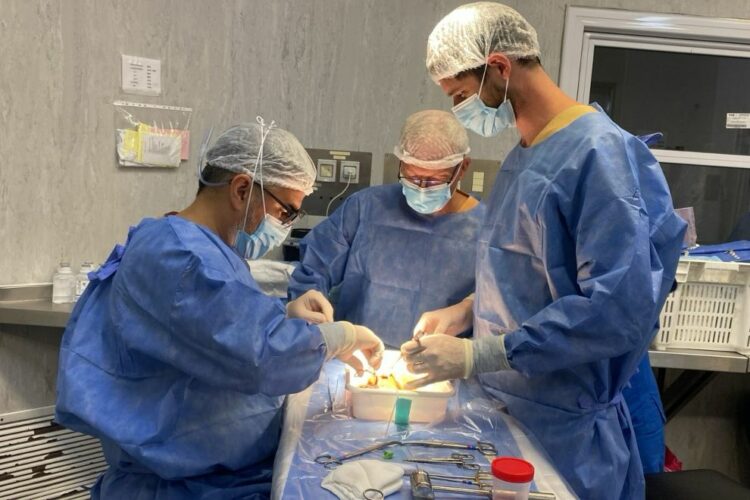 Por primera vez se realizó un trasplante renal con máquinas de perfusión hipotérmicas