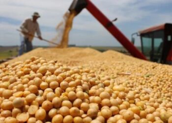 Malestar en el campo cordobés por la sugerencia de Milei para que “se apuren a liquidar»