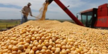 Malestar en el campo cordobés por la sugerencia de Milei para que “se apuren a liquidar»