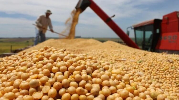Malestar en el campo cordobés por la sugerencia de Milei para que “se apuren a liquidar"