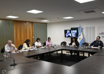 La Comisión de Educación analiza la situación de docentes de apoyo a la inclusión