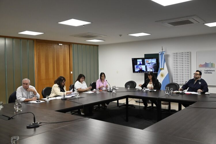 La comisión resolvió convocar a autoridades de la Universidad Provincial de Córdoba para que brinden datos sobre contratos de obras y servicios.