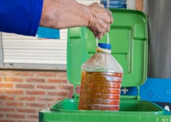 Aceite reciclado, energía limpia: cómo las empresas convierten residuos en biocombustible