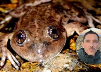 CONICET: Premian a científico argentino por su lucha ambiental