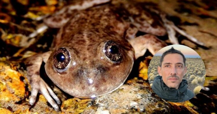 Federico Kacoliris fue galardonado por la organización benéfica británica Fondo Whitley para la Naturaleza con el Premio Whitley 2025, conocido popularmente como el “Óscar verde”. Fotos: Prensa CONICET.