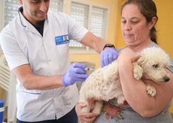 Campaña gratuita: vacunación y desparasitación de mascotas desde este lunes