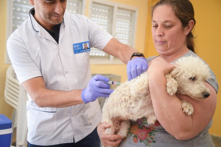 La iniciativa se da en el marco del Día del animal, celebrado el pasado 29 de abril,