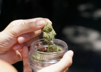 Cannabis medicinal: qué cambia con la nueva resolución del REPROCANN