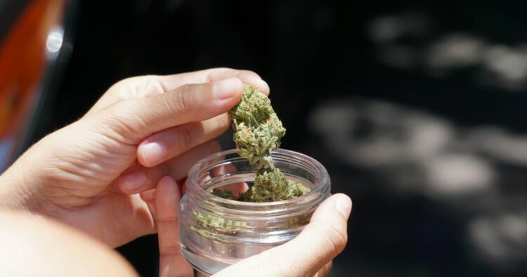 Cannabis medicinal: qué cambia con la nueva resolución del REPROCANN