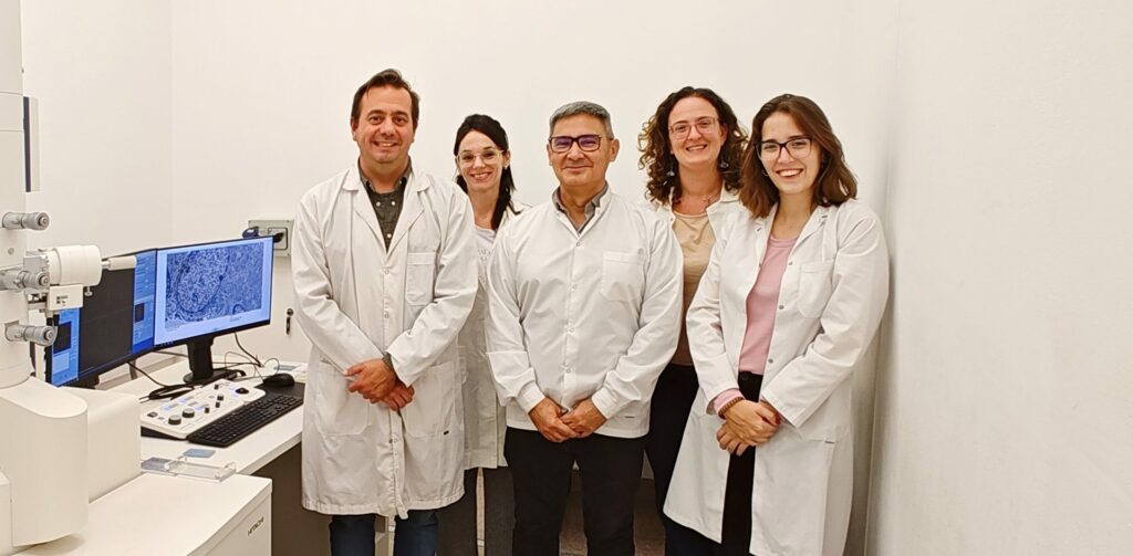 Científicos cordobeses identifican un blanco terapéutico para un tumor cerebral