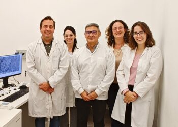 Científicos cordobeses identifican un blanco terapéutico para un tumor cerebral