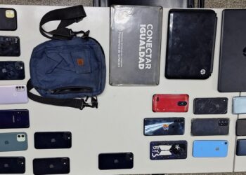 Detuvieron a una banda que robó celulares en el recital de Los Piojos