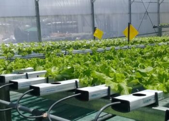 Segundo Congreso de Hidroponia de Argentina.