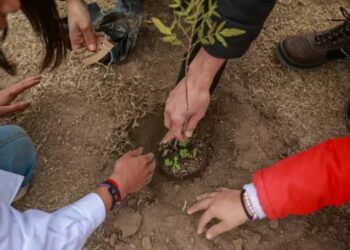 Encuentro ambiental en Córdoba: juventud, naturaleza y acción climática